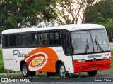 Viação Platina 3100 na cidade de Uberlândia, Minas Gerais, Brasil, por Lucas Vieira. Número da foto: #:id.