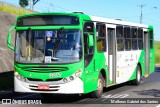 VB Transportes e Turismo 3217 na cidade de Campinas, São Paulo, Brasil, por Matheus Gabriel dos Santos. Número da foto: #6753711.