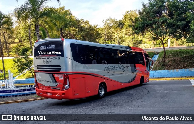 Empresa de Ônibus Pássaro Marron 5956 na cidade de Aparecida, São Paulo, Brasil, por Vicente de Paulo Alves. ID da foto: 6758276.