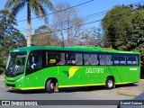 Pássaro Verde 19166 na cidade de Ouro Preto, Minas Gerais, Brasil, por Daniel Gomes. Número da foto: #6759390.