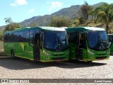 Pássaro Verde 19174 na cidade de Ouro Preto, Minas Gerais, Brasil, por Daniel Gomes. Número da foto: #6759381.