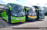 Pássaro Verde 19152 na cidade de Brasília, Distrito Federal, Brasil, por Diego Pereira. Número da foto: #:id.