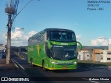 Pássaro Verde 12124 na cidade de Passos, Minas Gerais, Brasil, por Matheus Oliveira. Número da foto: #:id.