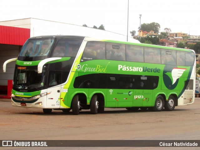 Pássaro Verde 12123 na cidade de Ouro Preto, Minas Gerais, Brasil, por César Natividade. ID da foto: 6764598.