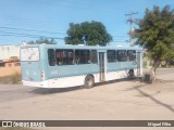 Laranjal Transportes 440 na cidade de Pelotas, Rio Grande do Sul, Brasil, por Miguel Filho. Número da foto: #6700522.