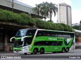 Pássaro Verde 12123 na cidade de Belo Horizonte, Minas Gerais, Brasil, por Douglas Yuri. ID da foto: :id.