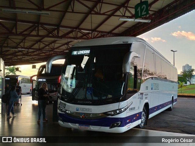 Princesa do Norte 51115 na cidade de Londrina, Paraná, Brasil, por Rogério César. Número da foto: #6772536.