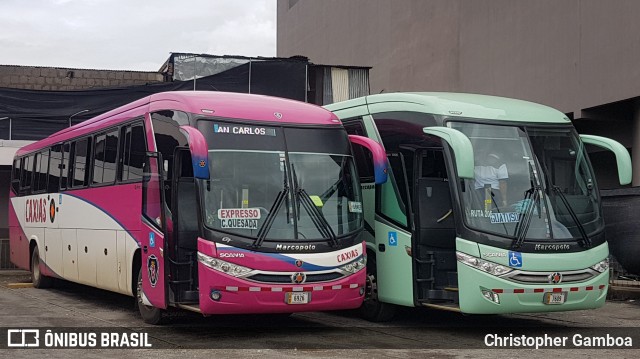 Autotransportes San José a Venecia AB 6926 na cidade de San José, San José, Costa Rica, por Christopher Gamboa. Número da foto: #6771218.