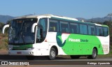 Pássaro Verde 29019 na cidade de Congonhas, Minas Gerais, Brasil, por Rodrigo  Aparecido. Número da foto: #:id.