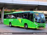 Pássaro Verde 19172 na cidade de Belo Horizonte, Minas Gerais, Brasil, por Adão Raimundo Marcelino. Número da foto: #6709505.