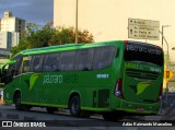 Pássaro Verde 19161 na cidade de Belo Horizonte, Minas Gerais, Brasil, por Adão Raimundo Marcelino. Número da foto: #6709500.