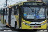 Viação Campo dos Ouros 3075 na cidade de Guarulhos, São Paulo, Brasil, por Gabriel Moura. Número da foto: #6712078.