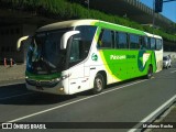 Pássaro Verde 11096 na cidade de Belo Horizonte, Minas Gerais, Brasil, por Matheus Rocha. Número da foto: #6713377.