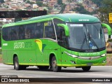 Pássaro Verde 19156 na cidade de Belo Horizonte, Minas Gerais, Brasil, por Matheus Adler. Número da foto: #:id.