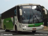 Pássaro Verde 29004 na cidade de Jaguaraçu, Minas Gerais, Brasil, por Graciliano Santos Passos. Número da foto: #:id.