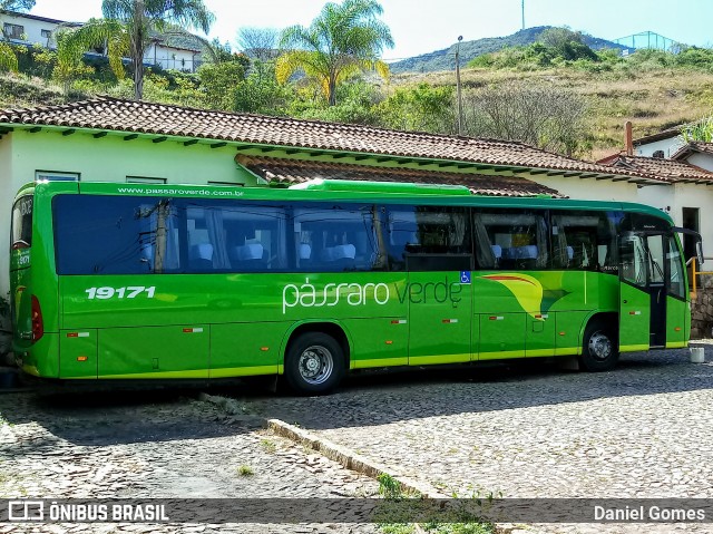 Pássaro Verde 19171 na cidade de Ouro Preto, Minas Gerais, Brasil, por Daniel Gomes. ID da foto: 6774364.