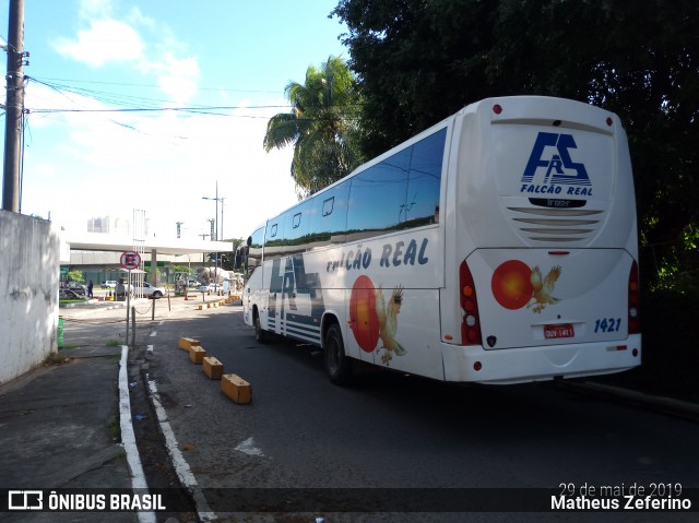 Falcão Real 1421 na cidade de Salvador, Bahia, Brasil, por Matheus Zeferino. Número da foto: #6773491.