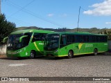 Pássaro Verde 15145 na cidade de Ouro Preto, Minas Gerais, Brasil, por Daniel Gomes. Número da foto: #:id.