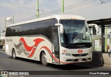 Pullman de Morelos 101 na cidade de Coyoacán, Ciudad de México, México, por Oscar Rodriguez . Número da foto: #:id.