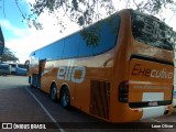Ello 1088 na cidade de Caruaru, Pernambuco, Brasil, por Leon Oliver. Número da foto: #6802611.