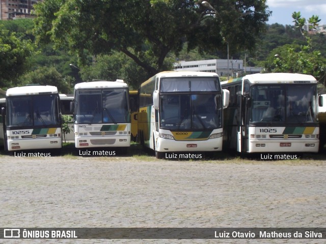 Empresa Gontijo de Transportes 3125 na cidade de Belo Horizonte, Minas Gerais, Brasil, por Luiz Otavio Matheus da Silva. ID da foto: 6805627.