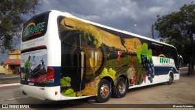 Bianfe Transportes e Turismo 706 na cidade de Pelotas, Rio Grande do Sul, Brasil, por Marcelo Mendes. Número da foto: #:id.