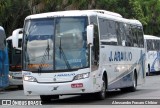 J. Araujo 2025 na cidade de Curitiba, Paraná, Brasil, por Alessandro Fracaro Chibior. Número da foto: #6813932.