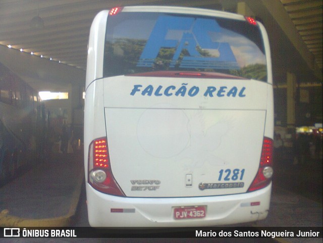 Falcão Real 1281 na cidade de Salvador, Bahia, Brasil, por Mario dos Santos Nogueira Junior. Número da foto: #6777380.