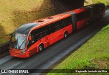 Araucária Transportes Coletivos LE706 na cidade de Curitiba, Paraná, Brasil, por Reginaldo Levinski da Silva. Número da foto: #6778340.