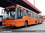 Auto Viação São José dos Pinhais 20403 na cidade de Colombo, Paraná, Brasil, por Hipólito Rodrigues. Número da foto: #:id.