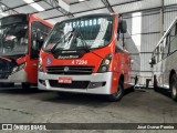 Pêssego Transportes 4 7204 na cidade de São Paulo, São Paulo, Brasil, por Kauã Silva Pereira. Número da foto: #:id.
