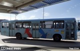 Rota Sol > Vega Transporte Urbano 35255 na cidade de Fortaleza, Ceará, Brasil, por Tiago Alves. Número da foto: #:id.