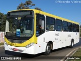 Viação Pioneira 222674 na cidade de Brasília, Distrito Federal, Brasil, por Ricardo Vieira. Número da foto: #6828022.