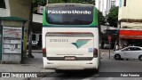 Pássaro Verde 29001 na cidade de Belo Horizonte, Minas Gerais, Brasil, por Fabri Ferreira. Número da foto: #:id.