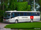 Borborema Imperial Transportes 2186 na cidade de Recife, Pernambuco, Brasil, por Pedro Oliveira. Número da foto: #:id.