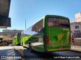 Pássaro Verde 19168 na cidade de Belo Horizonte, Minas Gerais, Brasil, por Luis Philippe Cardoso Coelho. Número da foto: #6831011.