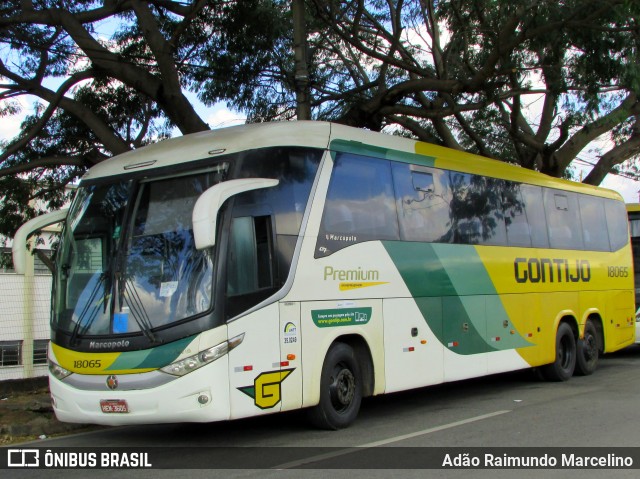 Empresa Gontijo de Transportes 18065 na cidade de Belo Horizonte, Minas Gerais, Brasil, por Adão Raimundo Marcelino. Número da foto: #6837347.