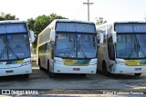 Empresa Gontijo de Transportes 12185 na cidade de São Mateus, Espírito Santo, Brasil, por Rafael Rodrigues Forencio. Número da foto: #6841241.