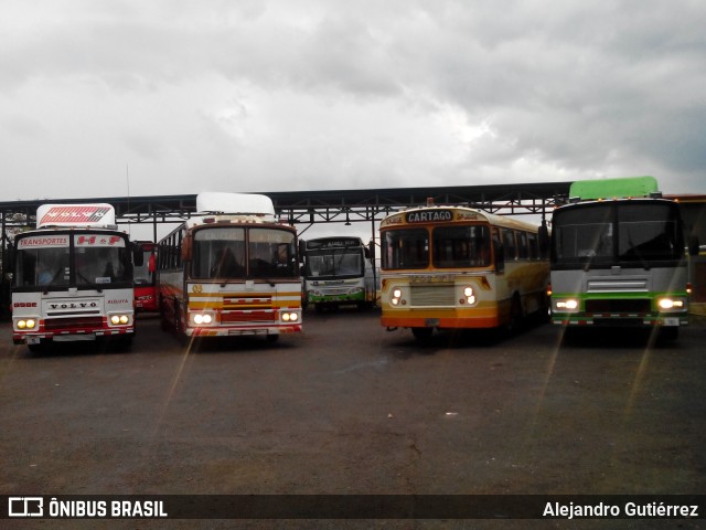 Autobuses sin identificación - Costa Rica GB na cidade de Sabanilla, Alajuela, Alajuela, Costa Rica, por Alejandro Gutiérrez. Número da foto: #6844095.