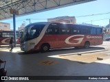 Expresso Gardenia 3275 na cidade de Itajubá, Minas Gerais, Brasil, por Rodney Andrade. Número da foto: #6843899.