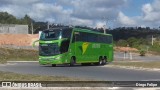 Pássaro Verde 12125 na cidade de Formiga, Minas Gerais, Brasil, por Diego Felipe. Número da foto: #6845808.