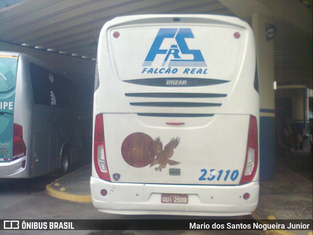 Falcão Real 23110 na cidade de Salvador, Bahia, Brasil, por Mario dos Santos Nogueira Junior. Número da foto: #6785205.