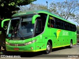 Pássaro Verde 15135 na cidade de Ponte Nova, Minas Gerais, Brasil, por Davi Neves. Número da foto: #:id.