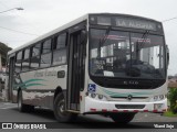 Puma Pardo  na cidade de Siquirres, Siquirres, Limón, Costa Rica, por Yliand Sojo. Número da foto: #:id.