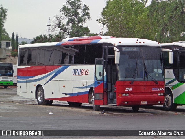 Ovnibus 2080 na cidade de Tula de Allende, Hidalgo, México, por Eduardo Alberto Cruz. Número da foto: #6851134.