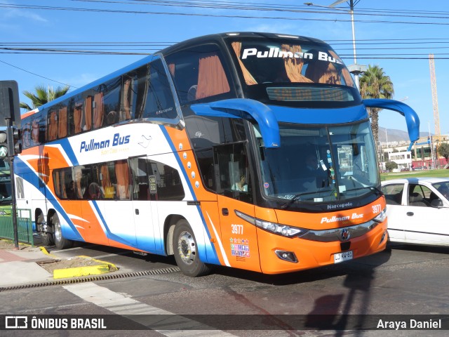 Pullman Bus 3977 na cidade de La Serena, Elqui, Coquimbo, Chile, por Araya Daniel . Número da foto: #6849370.