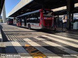 Express Transportes Urbanos Ltda 4 8365 na cidade de São Paulo, São Paulo, Brasil, por Gustavo Oliveira. Número da foto: #6850625.