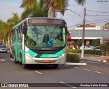 Rosa Turismo 15506 na cidade de Tatuí, São Paulo, Brasil, por Weslley Kelvin Batista. Número da foto: #:id.