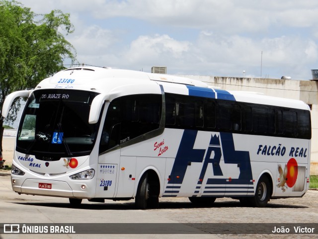 Falcão Real 23180 na cidade de Juazeiro, Bahia, Brasil, por João Victor. ID da foto: 6873858.