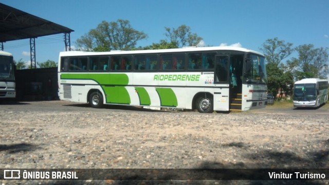 Riopedrense Transporte Turístico 4004 na cidade de Piracicaba, São Paulo, Brasil, por Vinitur Turismo. Número da foto: #6875843.
